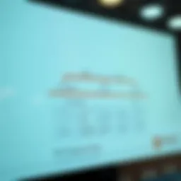 Risk Management Phases Overview Flowchart depicting stages of risk management from identification to mitigation